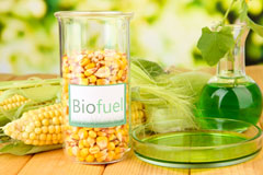 Trenewan biofuel availability
