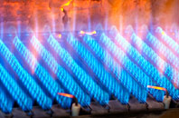 Trenewan gas fired boilers